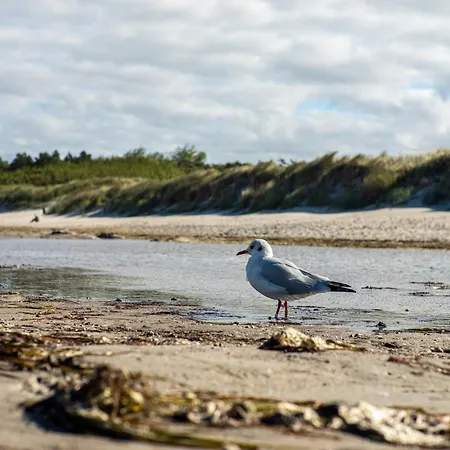 Apartman Bickbeeren Bickbeeren Barbara Whg 5